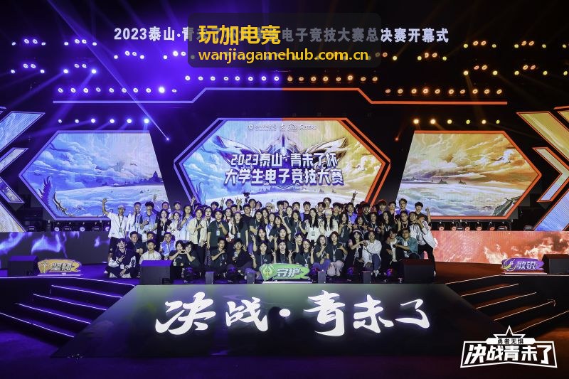 玩加电竞 战术攻略与选手数据解决方案